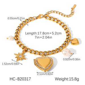 1 Piece Daily Heart Stainless Steel Waterproof Gold Color Zircon Women's Charm Bracelets h5 Picture2