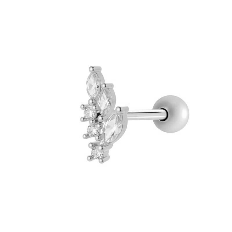 013—Zilver Afbeelding4