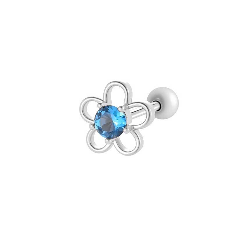 2# Zilver Afbeelding3
