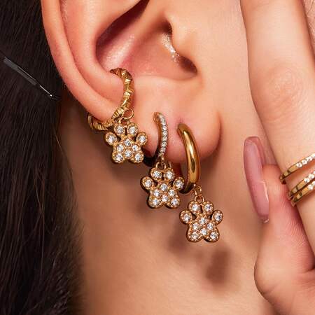 1 Pair Romantic Dog's Paw Stainless Steel Waterproof Gold Color Zircon Women's Drop Earrings