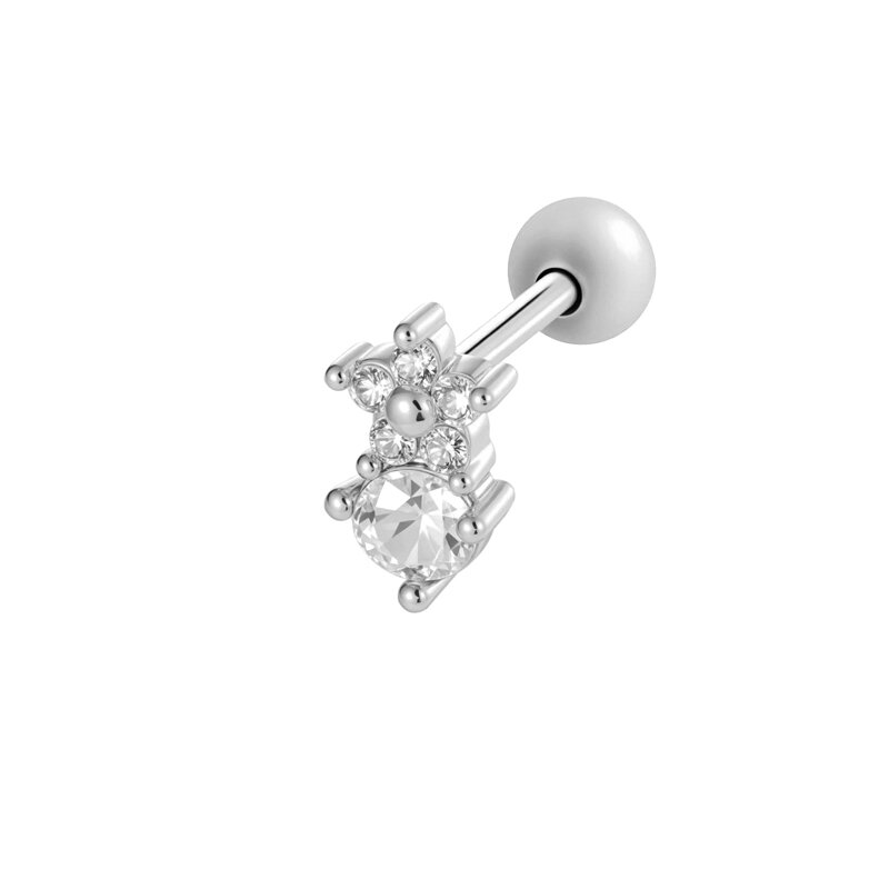 Silver Color Picture5