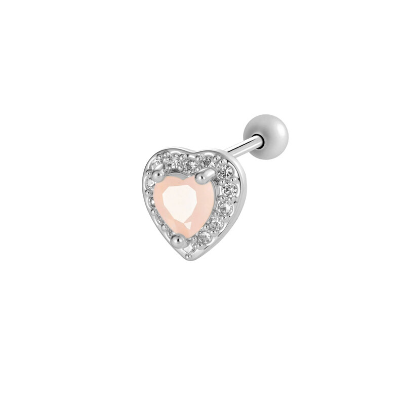 couleur argent Image5
