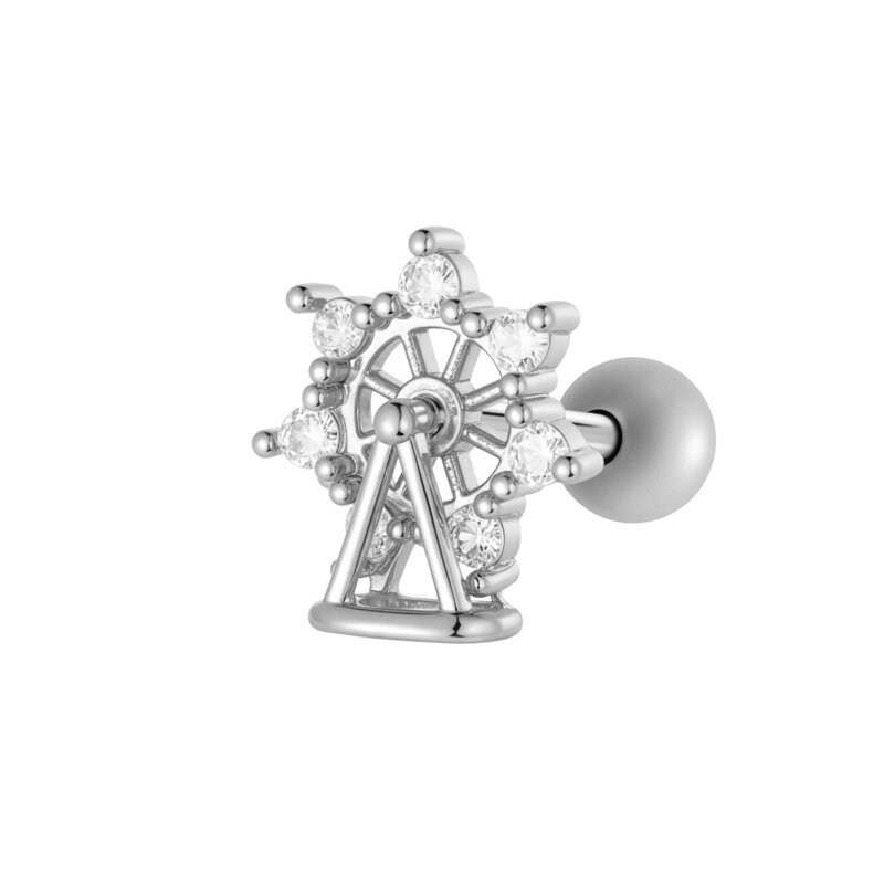 0191-1# Silber Bild10
