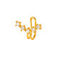 958-Gold Picture16