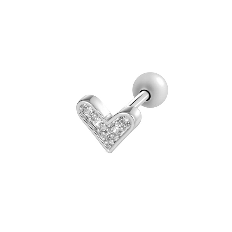 Silver Color Picture4