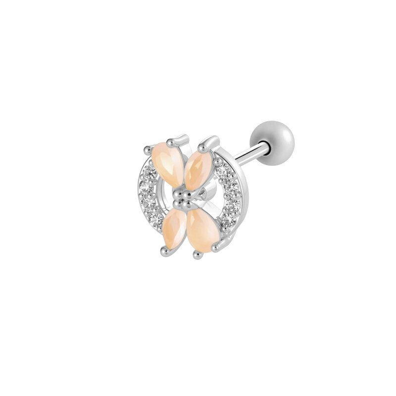 couleur argent Image6