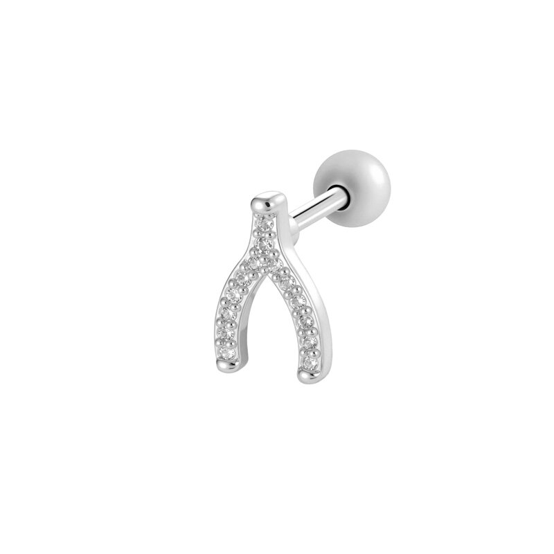 Silver Color Picture6