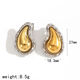 Earrings Te60455-Sg Picture2