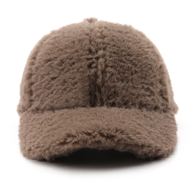 1 Piece Casual Solid Color Plush Baseball Cap Picture2