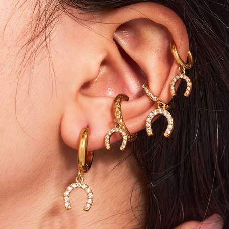 1 Pair Luxurious Horseshoe-shaped Stainless Steel Waterproof Gold Color Zircon Women's Drop Earrings
