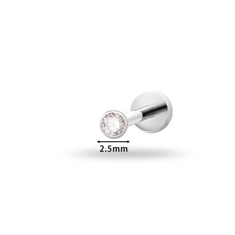 1 Piece Simple Circle Titanium Alloy Zircon Women's Piercing Earrings h5 Picture2