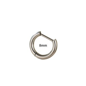 1 Piece Minimalist Annular Shape Titanium Alloy Women's Hoop Earrings h5 Picture2