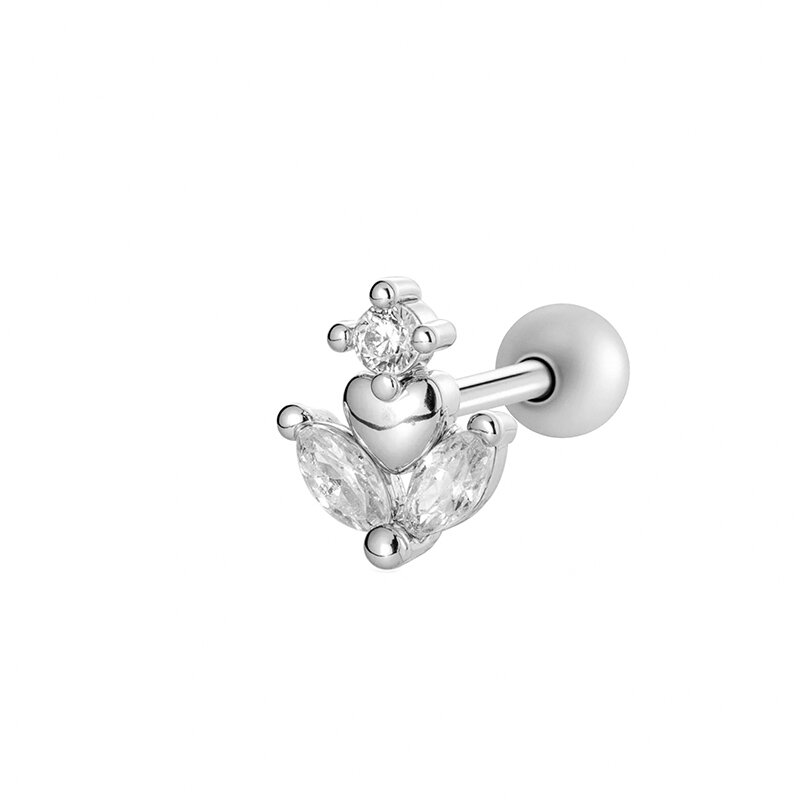 2605-6# Silver Picture14