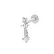 2606-4# Silver Picture12