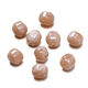 Light Brown Picture5