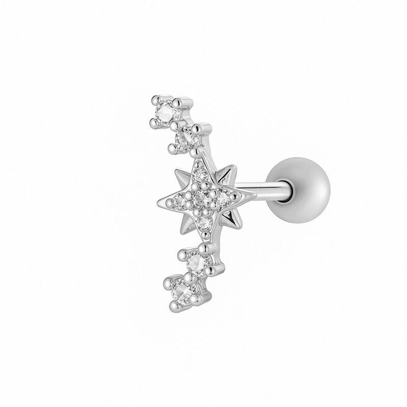 2604-2# Argento Immagine10
