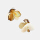 Ear Hooks-White-Coffee