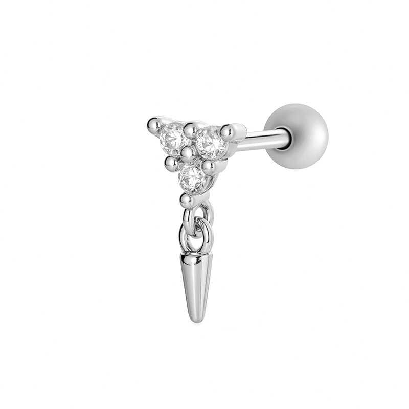 2605-5# Silver Picture13