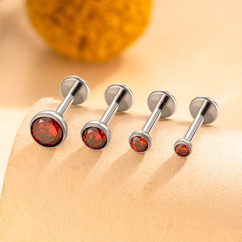 1 Piece Simple Circle Titanium Alloy Zircon Women's Piercing Earrings h5 Picture3