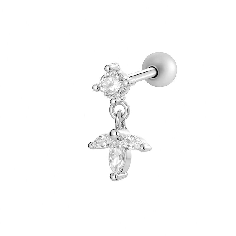 2605-4# Silver Picture12