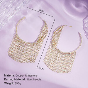 1 Pair Festive Series Tassel Circle Party Earrings h5