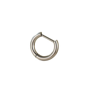 1 Piece Minimalist Annular Shape Titanium Alloy Women's Hoop Earrings h5