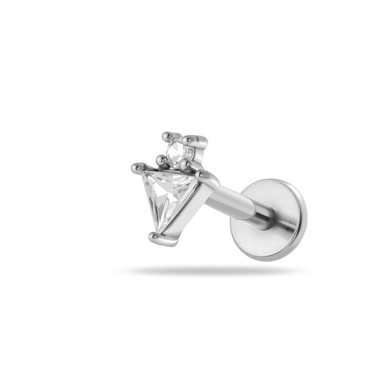 2614-3# Silver Picture12