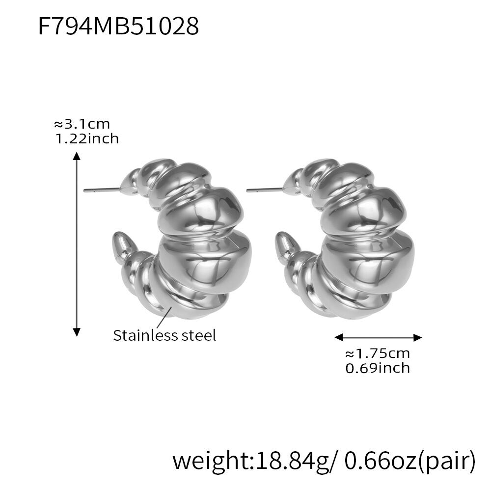 F794 - Steel Earrings Picture2