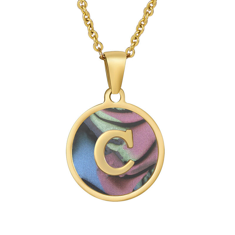 C-Shell (Including Chain) Picture55