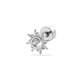 424—Silver Picture4