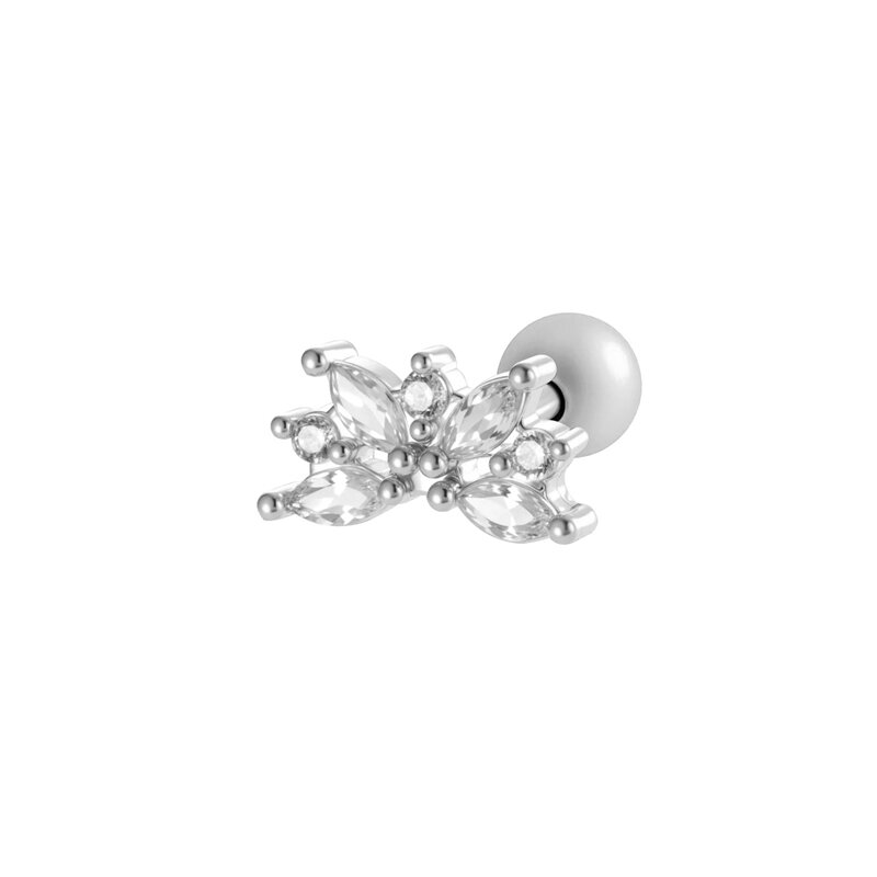 2620-3# Silver Picture11