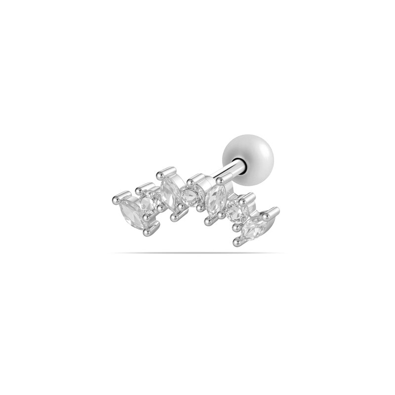 461—Silver Picture8