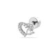 424—Silver Picture6