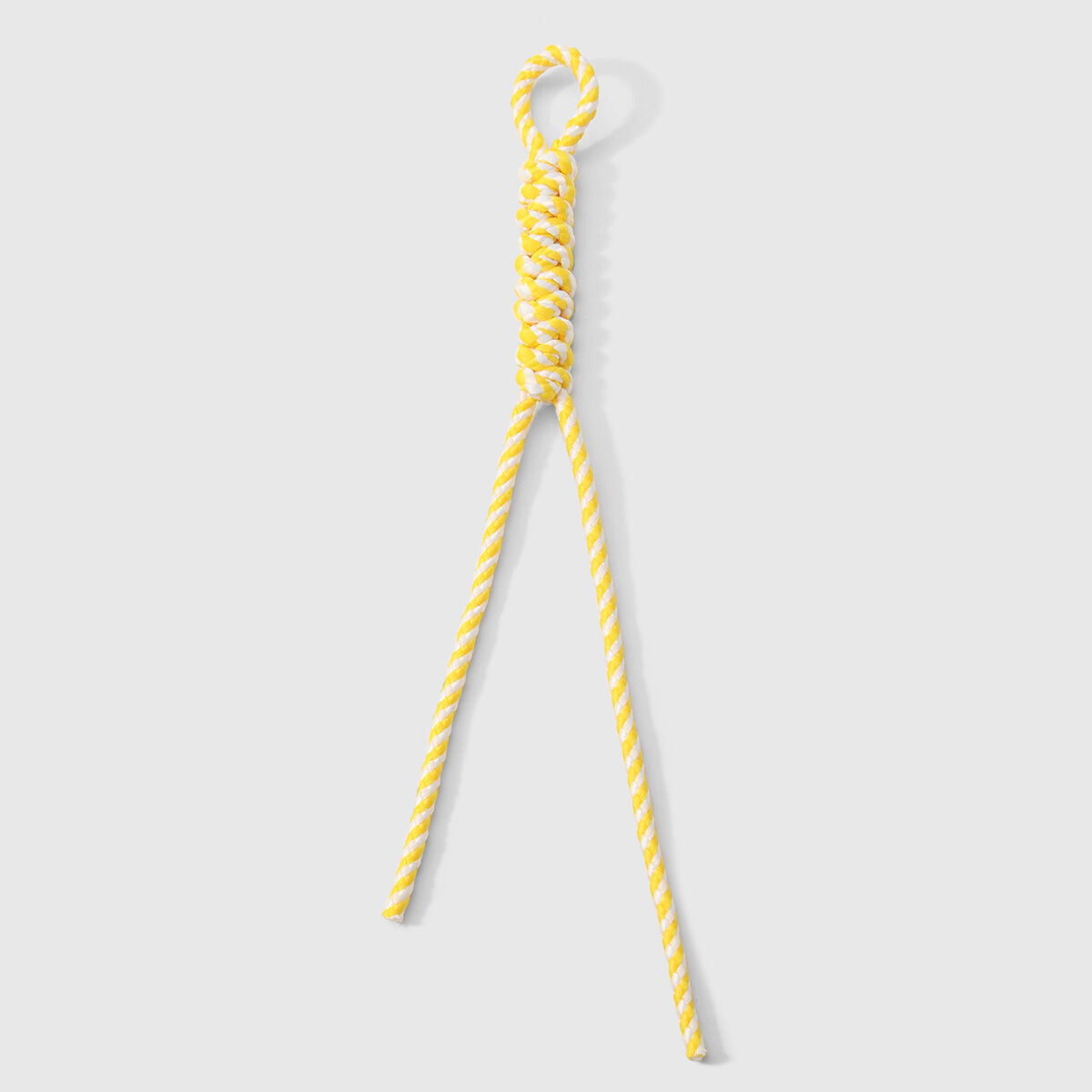 1 Yellow Lanyard Picture3