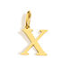 X-Gold Picture48
