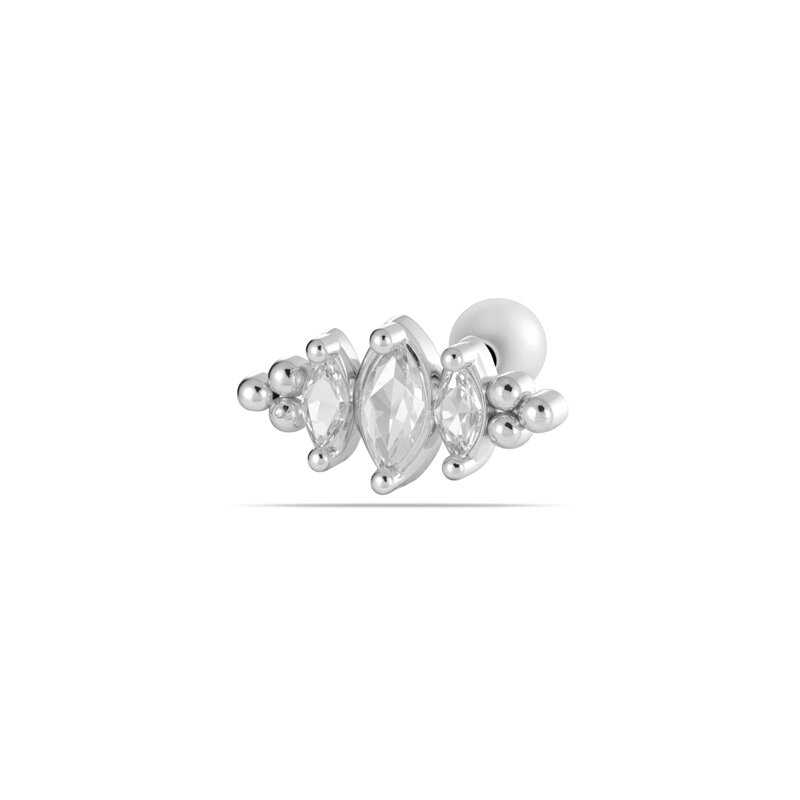 447—Silver Picture6