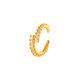 2617-1# Gold
