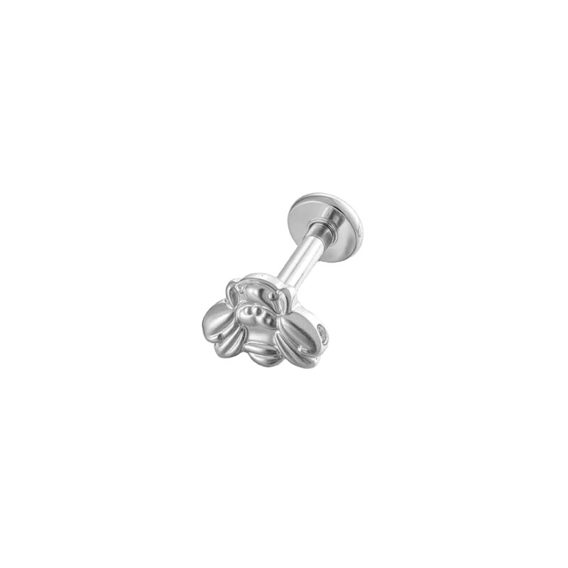 Silver Color Picture2