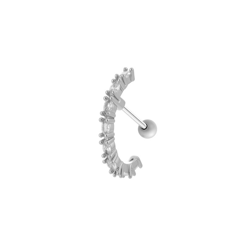 Silver Color Picture3