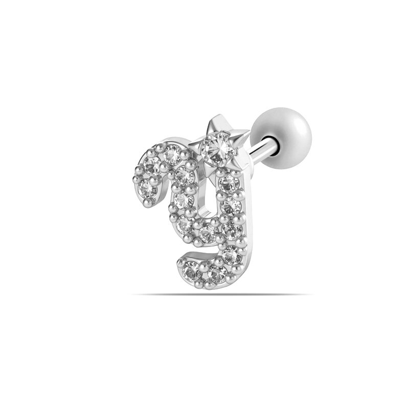Silver Color Picture25