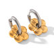 Hc-E10519-Gs