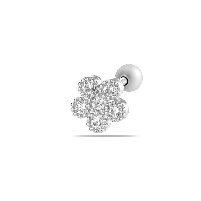 Silver Color Picture7