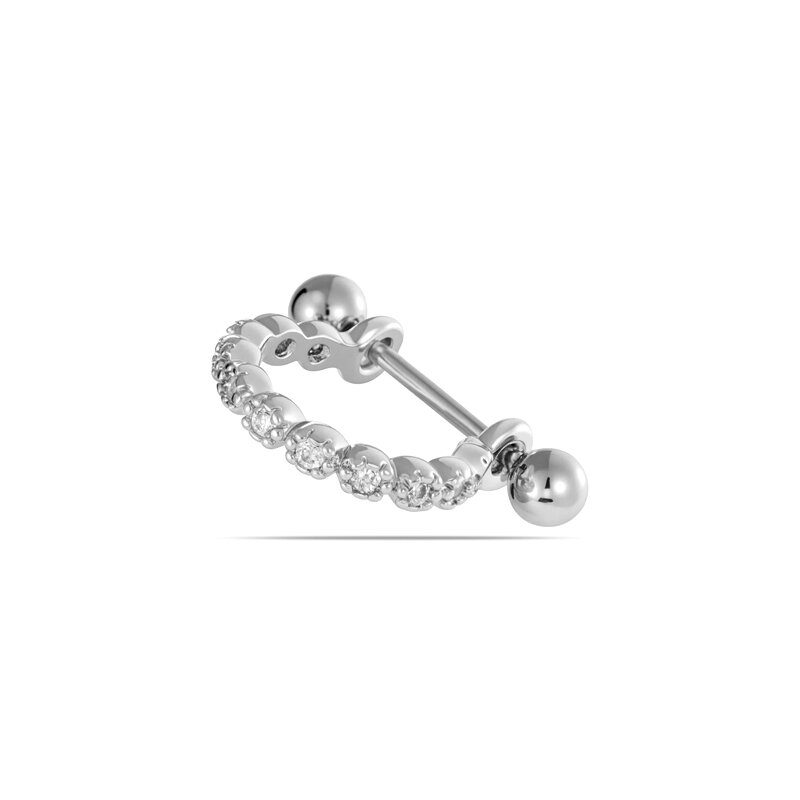 Silver Color Picture5