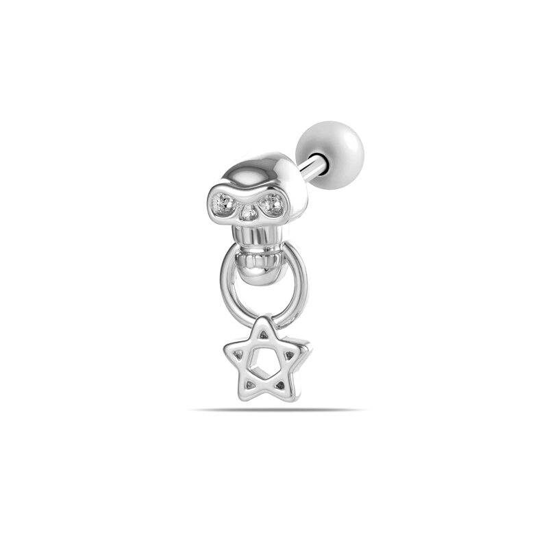 Silver Color Picture3