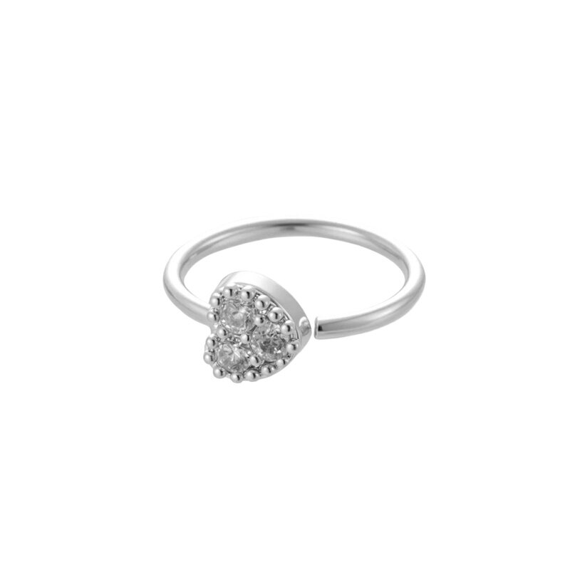 couleur argent Image6