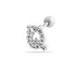 Silver Color Picture17