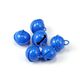 Blue Picture2