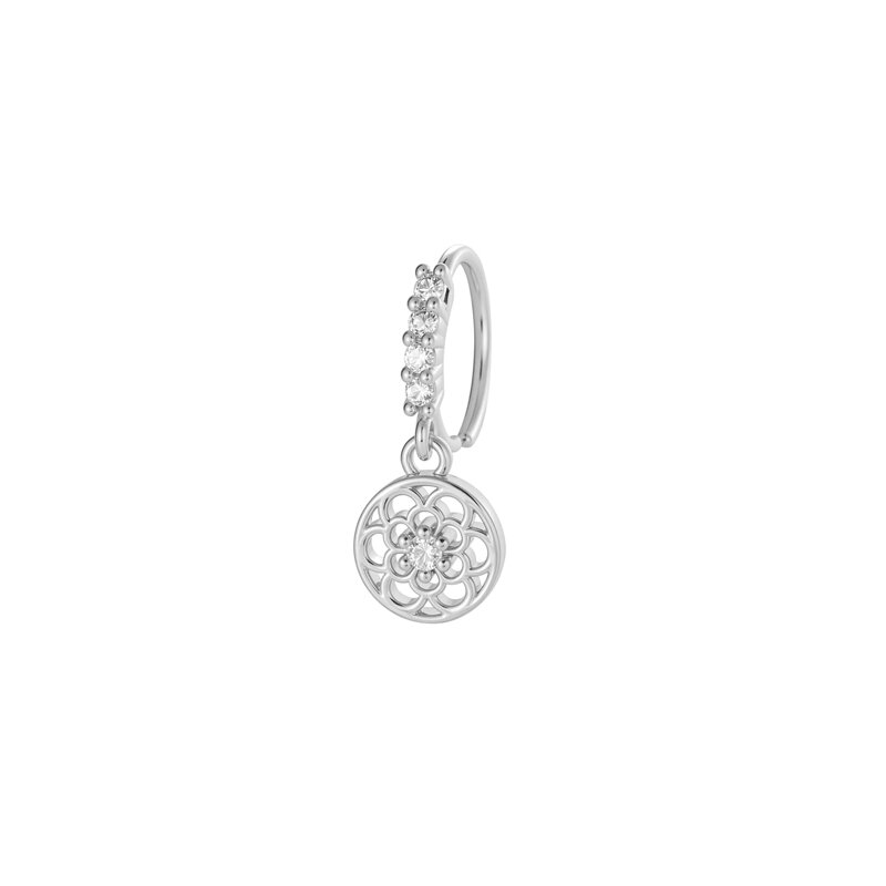 Silver Color Picture13
