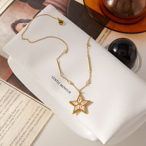 Collane con ciondolo da donna Brilliant Star in acciaio inossidabile, impermeabili e anti-ossidazione, color oro h5 Immagine5
