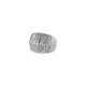 2627-3# Silver Picture9